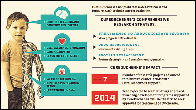 duchenne-infographic-slide.gif