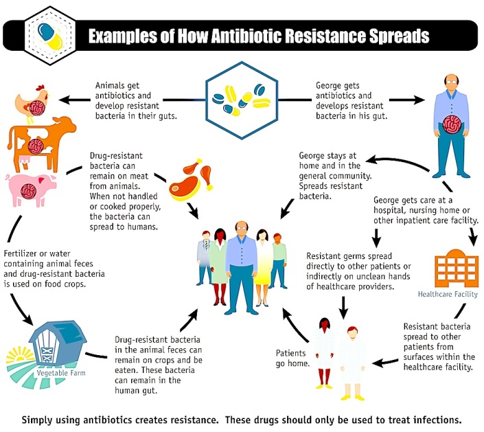 National Summary Data, Antibiotic Resistance